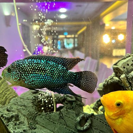 Eurohotel Сважендз Екстериор снимка